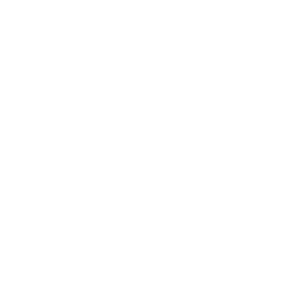 diversity-icon