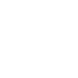 transparency-icon
